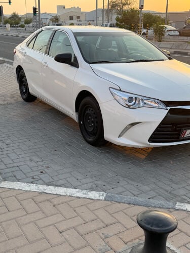 البيع  