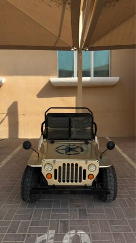 Mini Jeep