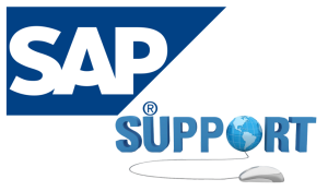 SAP B1 Support and Web Integration