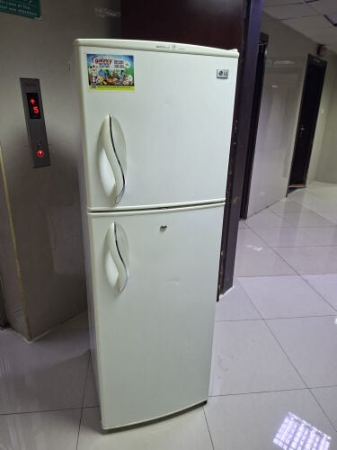 LG