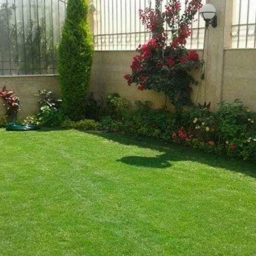 زراعه وديكورات منزليه