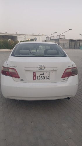 احمد حافظ
