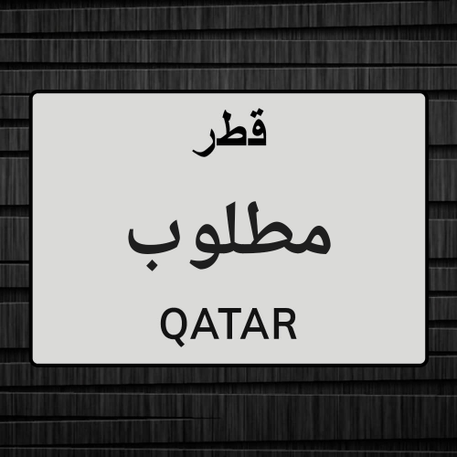 مطلوب مترجم
