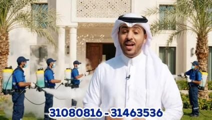 شركة مكافحه الحشرات
