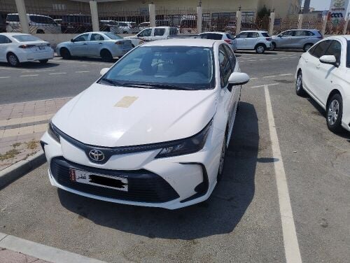 Corolla XLI 2020