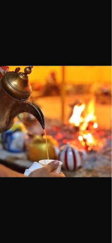 مقهوين شباب البوشي 