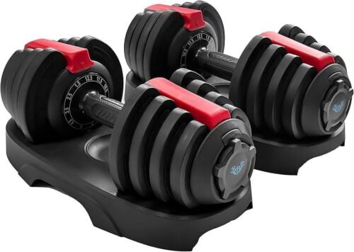adjustable dumbbell pair