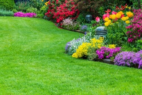 الخدمات عامه لكافة المزروعات