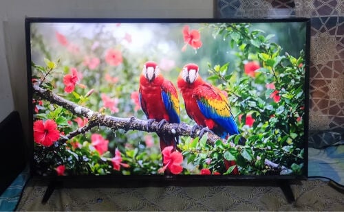 LG. SMART TV  43. INCH