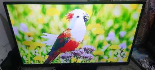 47 iNCH. LG TV