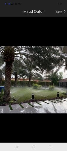 النخيل