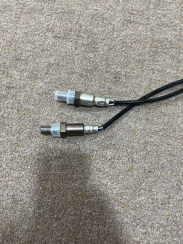 oxygen sensor