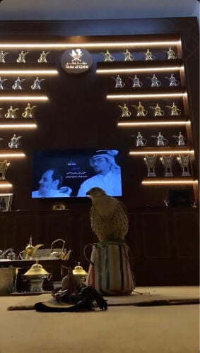 كبة مجلس 