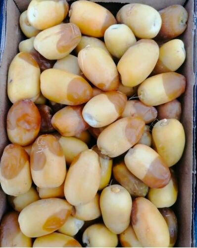 طازج رطب موجودة ممتازة