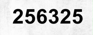 256325