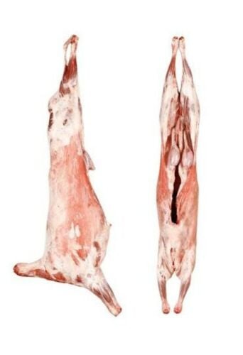 Halal Meat beef amd lamb