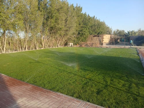 تنسيق حدائق وعشب طبيعي