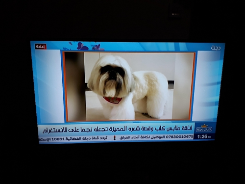 تلفزيون شاشة32بوصة