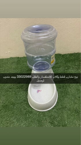 مشارب للقطط والكلاب ممتاز 