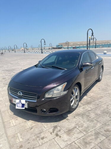 مالك ثاني 