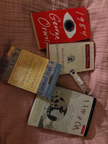 4 book bundle for sale