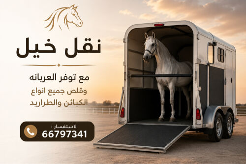 نقل خيل في اي وقت 