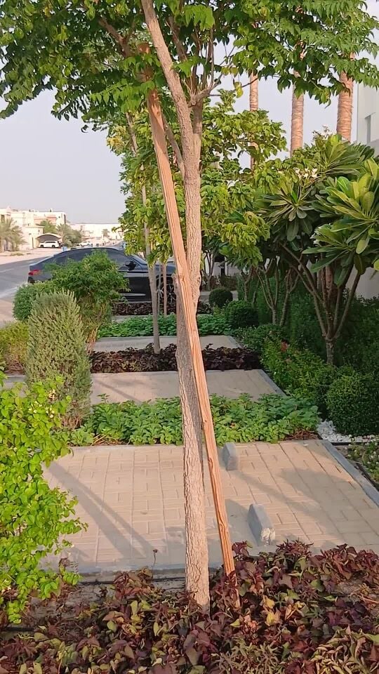 مزارع واسع الخبره