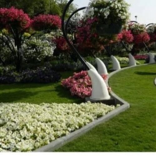 مزارع ومنسق حدائق