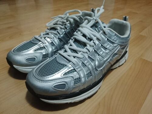 P6000 Nike silver