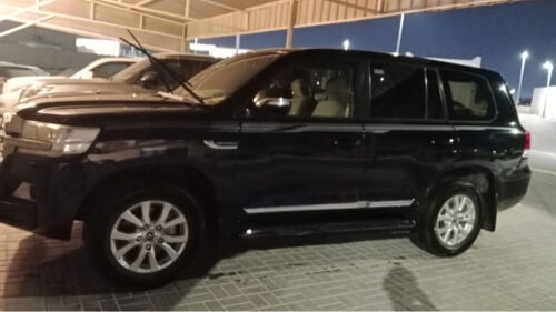 جيكسار وارد البريمي وصف كامل تحت