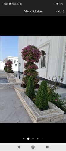 الاعتناء بصيانه الحدائق