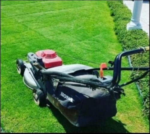 العنايه بالحدائق