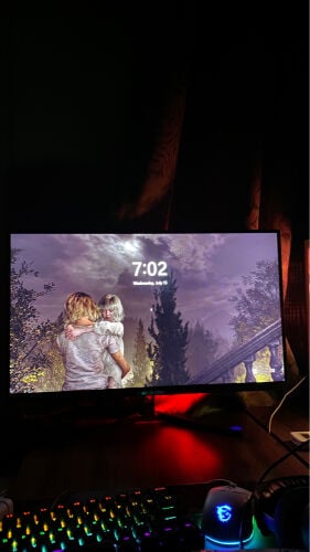 GAMING MONITOR