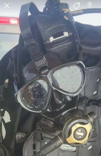 Gull Mantis full face mask