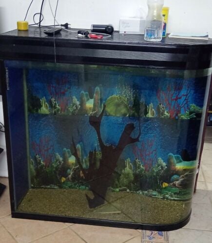 fish tank.
