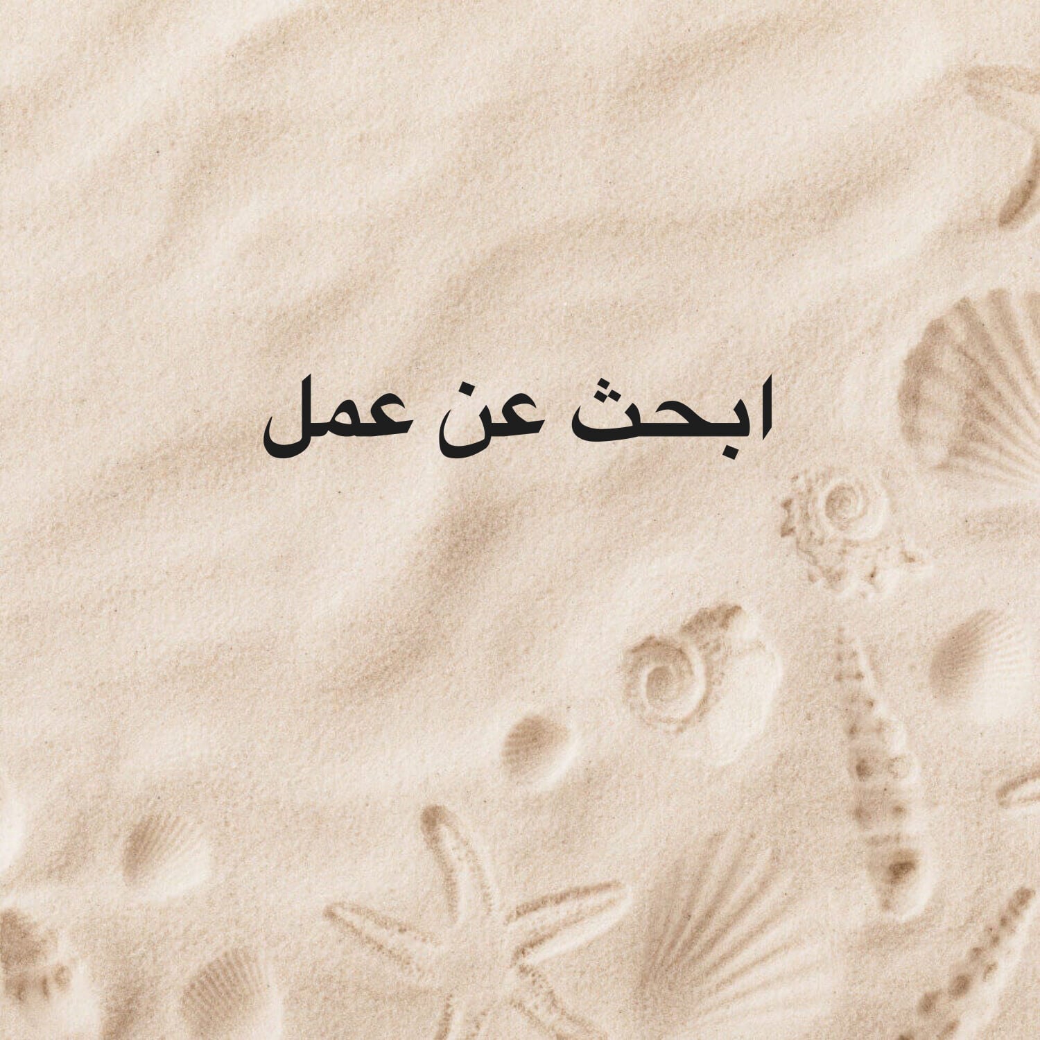 احمد 