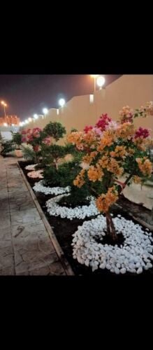 عقود شهريه لصيانه الحدائق