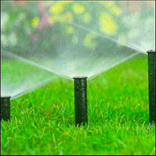 اعمال شبكه الراي