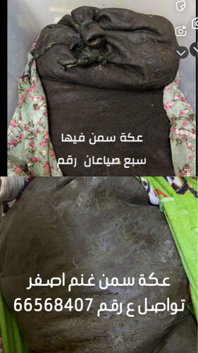 عكه سمن