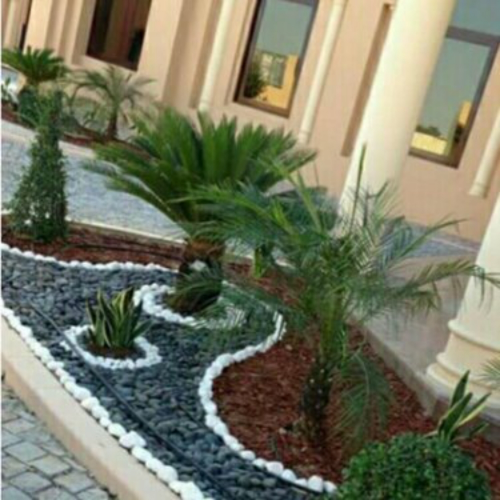 عشب طبيعى رول اخضر ١٧ريال