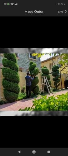 العنايه بالحدائق