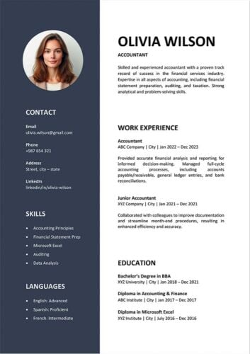 Professional ATS-Friendly Resume (C