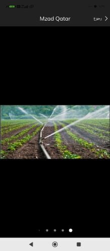 عمل شبكه الراي