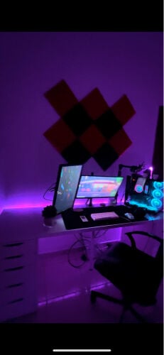 monitors 