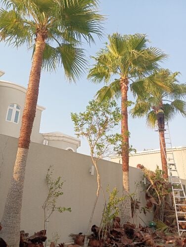 مزارع ومنسق حدائق