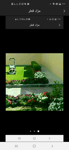 قص العشب وصيانه شهريه للحدائق