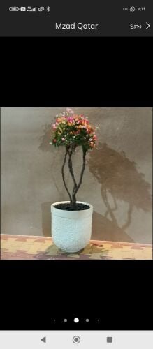 أحواض زراعه