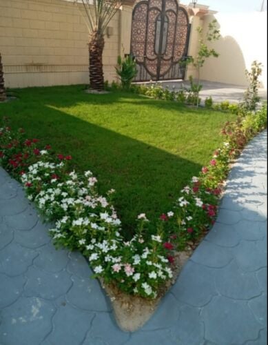 تنسيق وترتيب وزراعه الحدائق