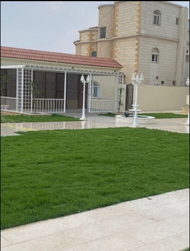 عشب طبيعي