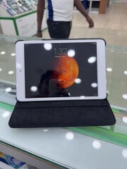 iPad mini 2